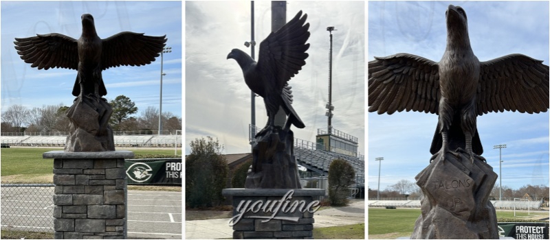 Eagle Bird Statue Feedback from US Customer