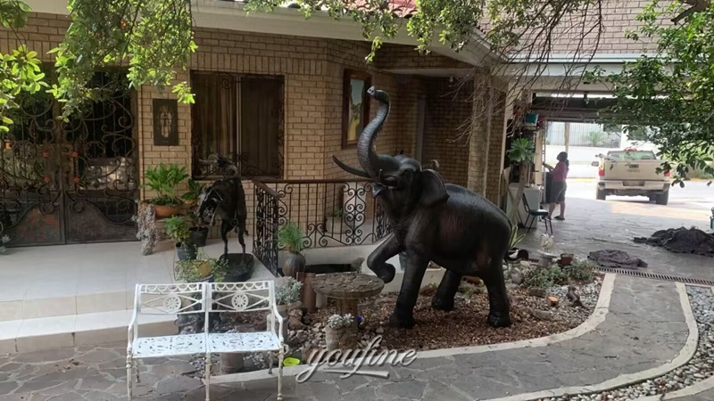 Large Elephant Feedback from YouFine Mexican Customer