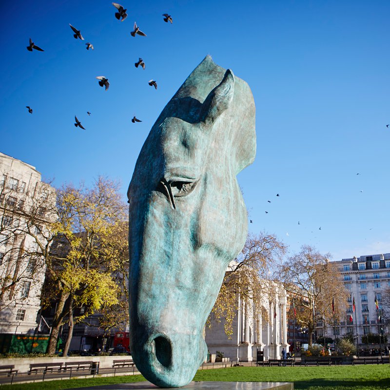 Still Water Horse Head Statue