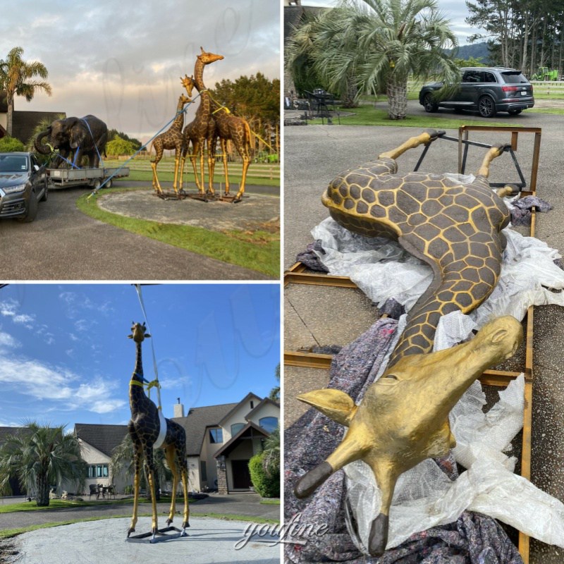 Feedback on New Zealand Giraffe Family Sculpture