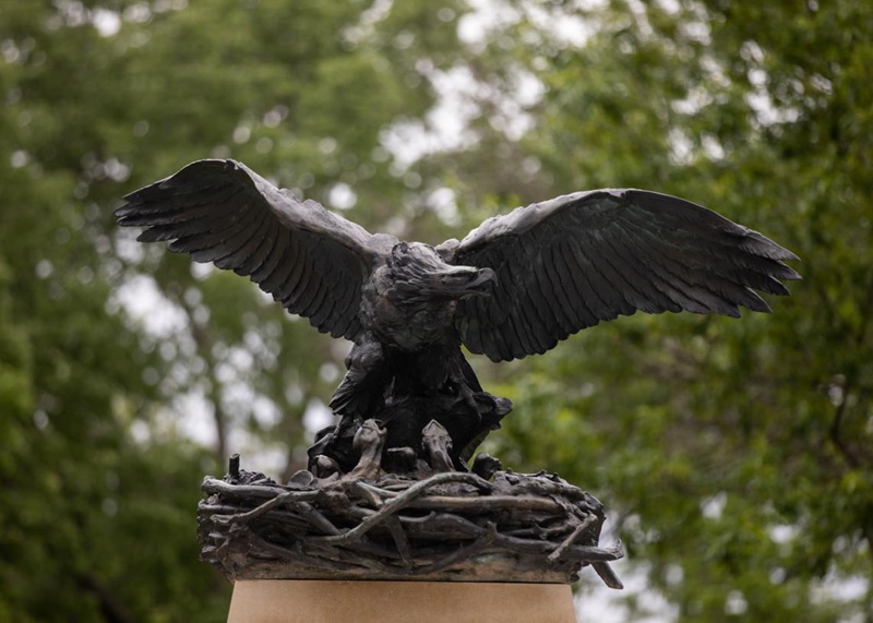 Victory Eagle