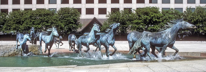 Mustangs of Las Colinas