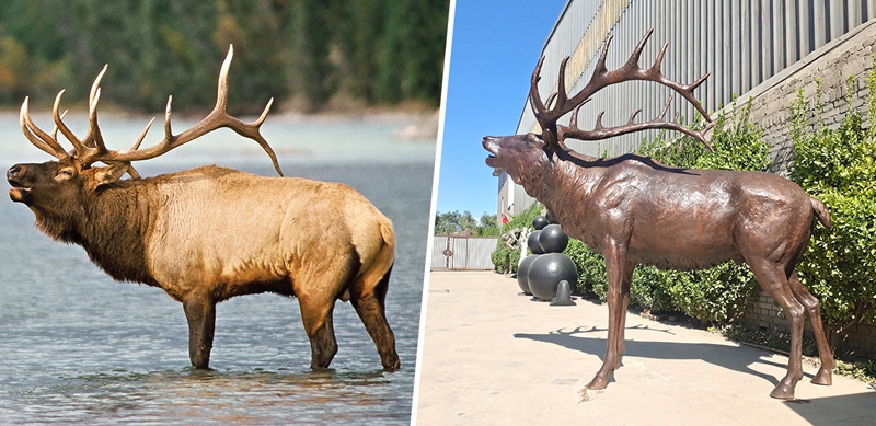 real-elk-and-elk-statue