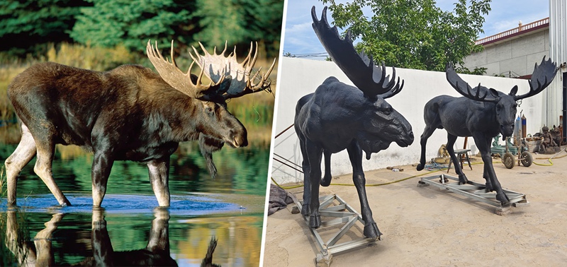 real-moose-and-moose-statue