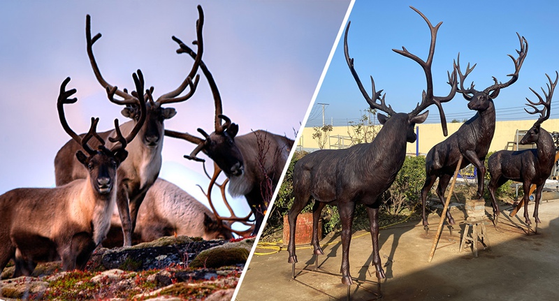 real-reindeer-and-reindeer-sculpture