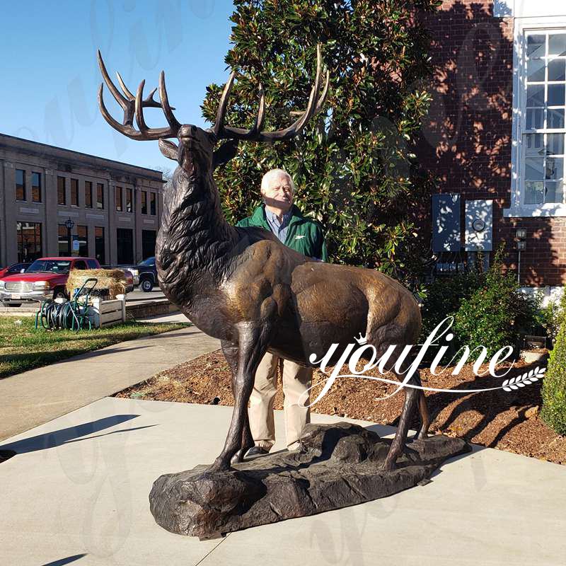 Bronze Red Deer Statue Feedback from YouFine American Customer