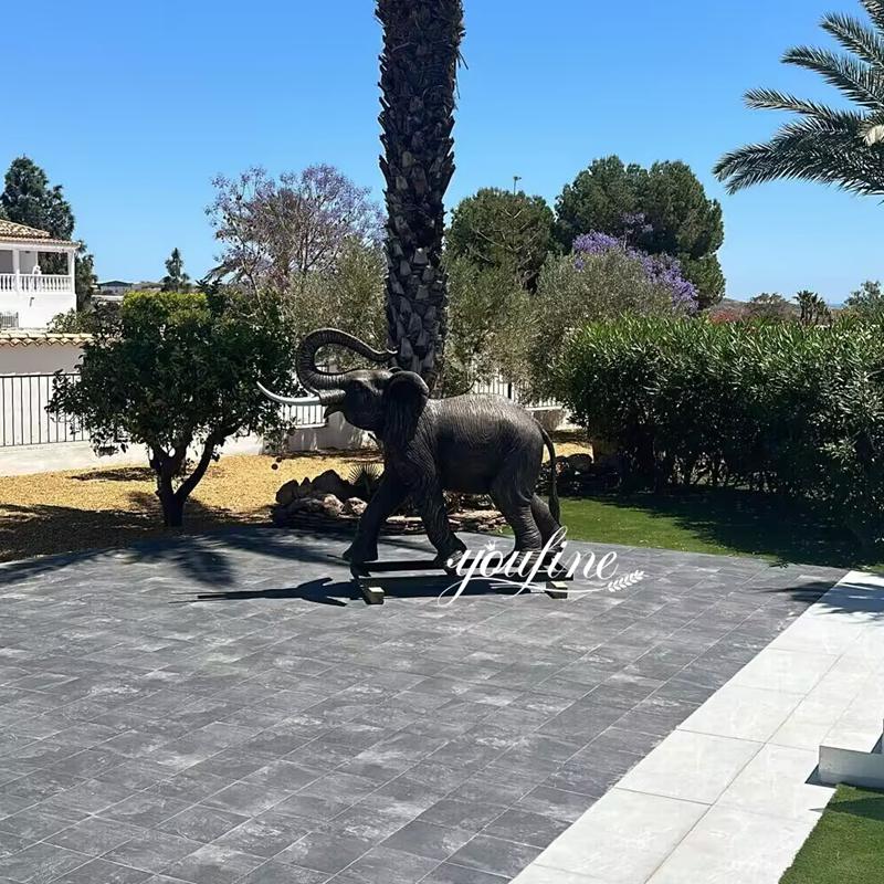 Elephant feedback from YouFine Spanish Customer