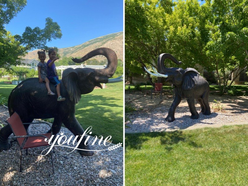 elephant Feedback from YouFine American Customer