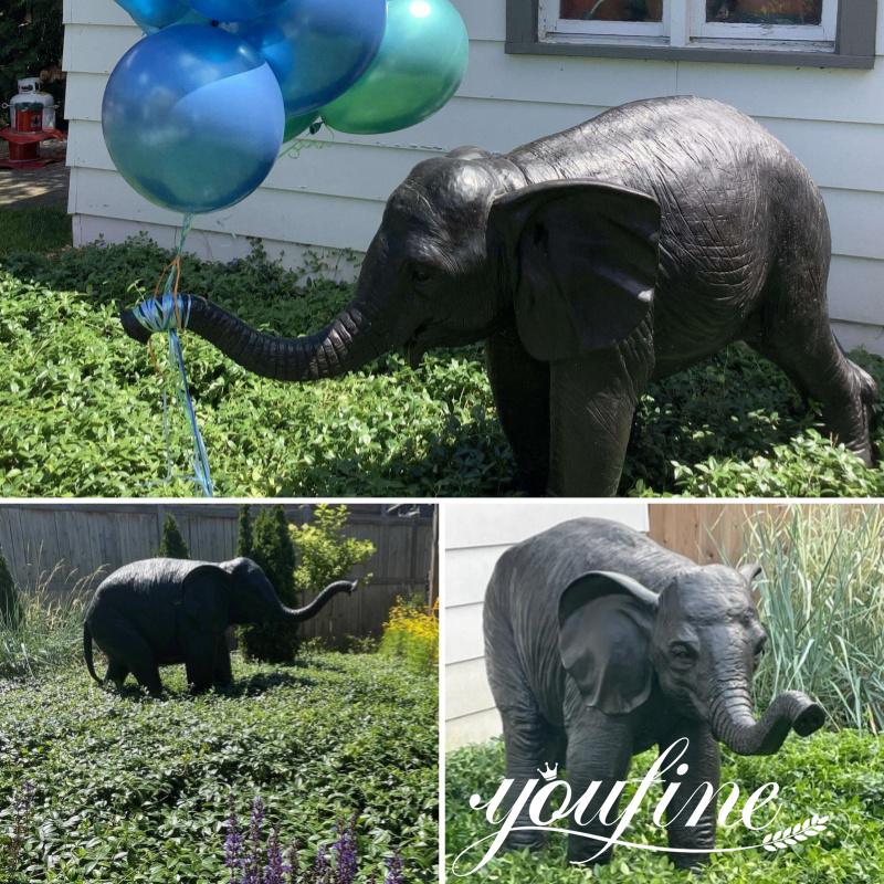 elephant Feedback from YouFine Canada Customer