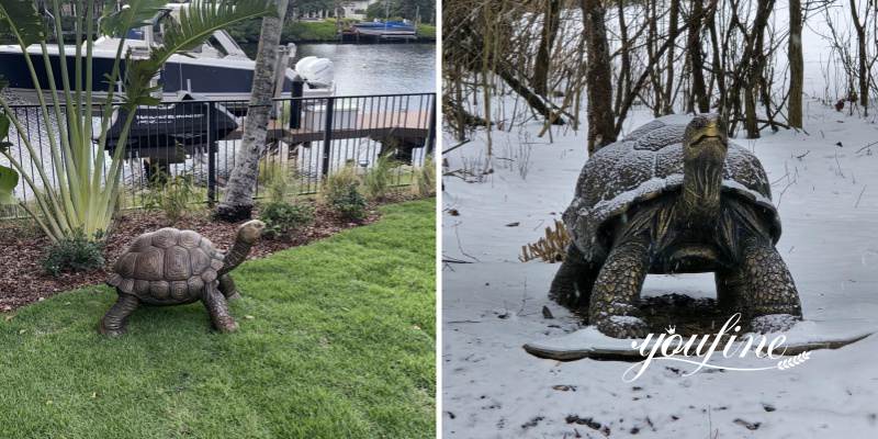 Bronze Turtle Statue Feedback form YouFine Customers