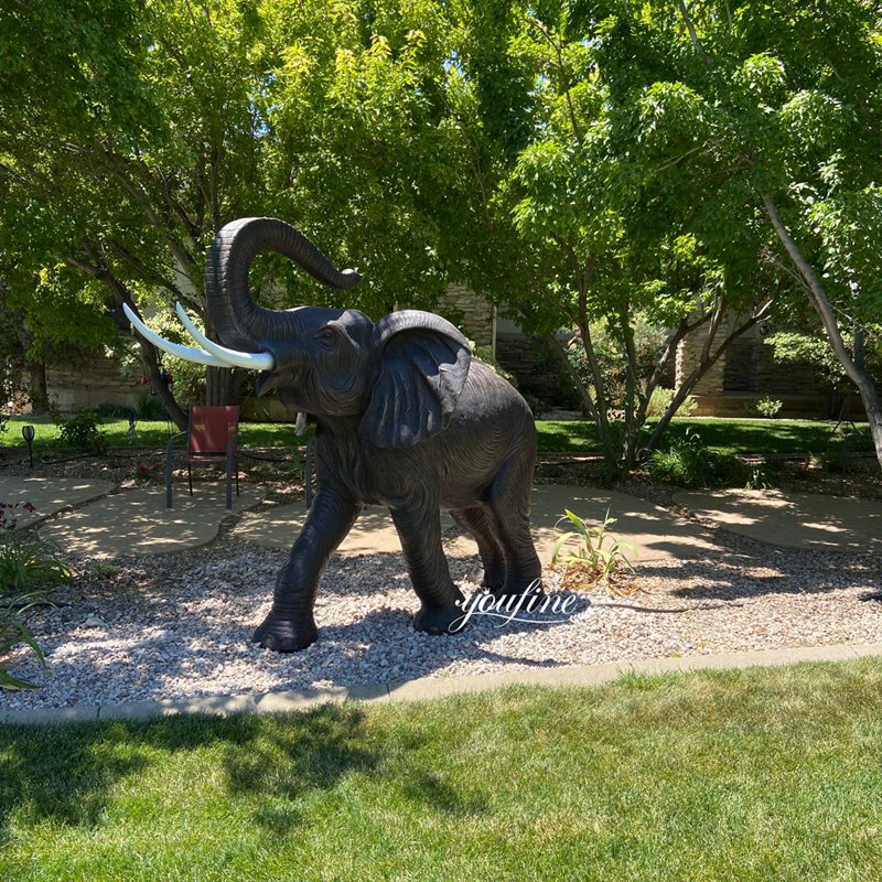 cute elephant feedback