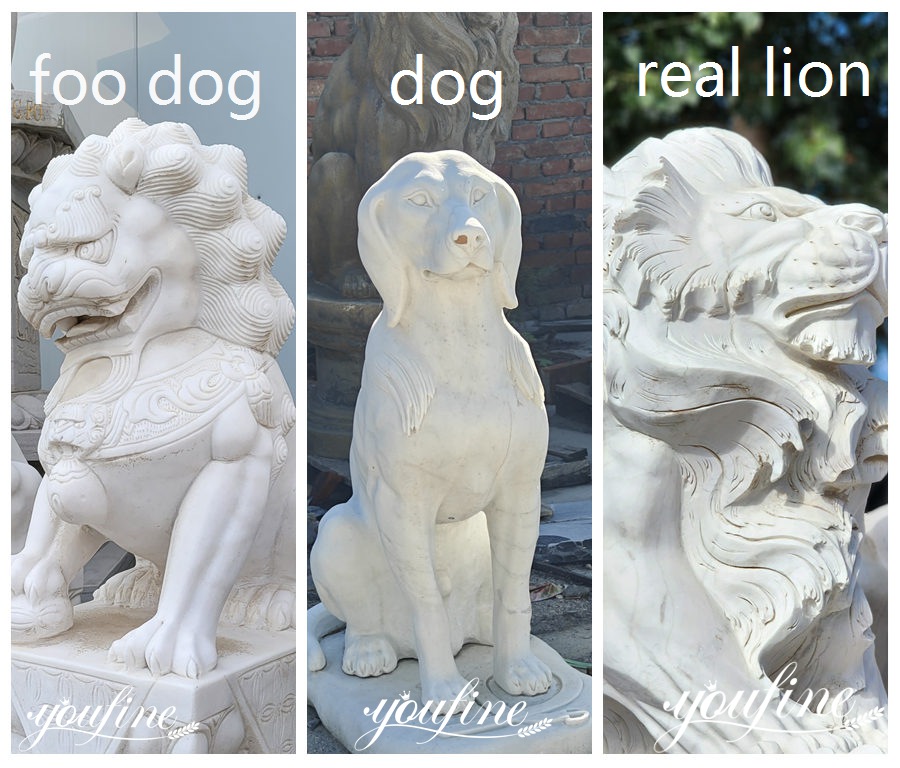 foo-dog-vs-dog-vs-real-lion