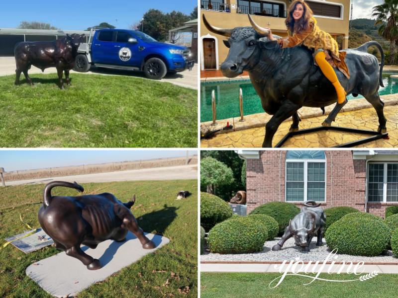 Bronze Bull Statue Feedback