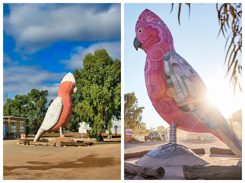 The Big Galah