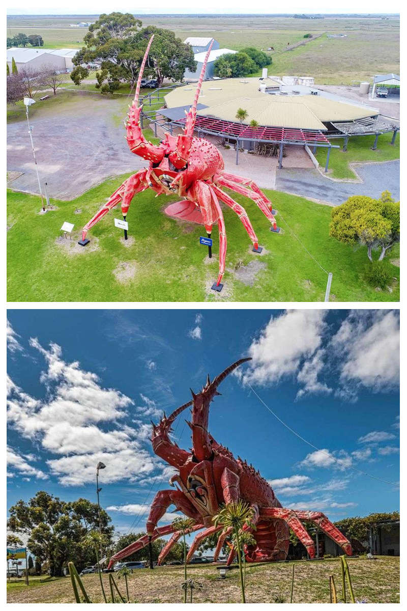 The Big Lobster