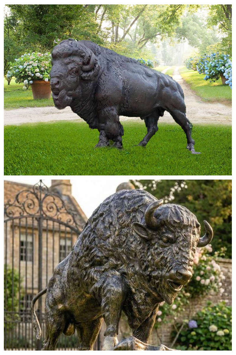 bison for garden