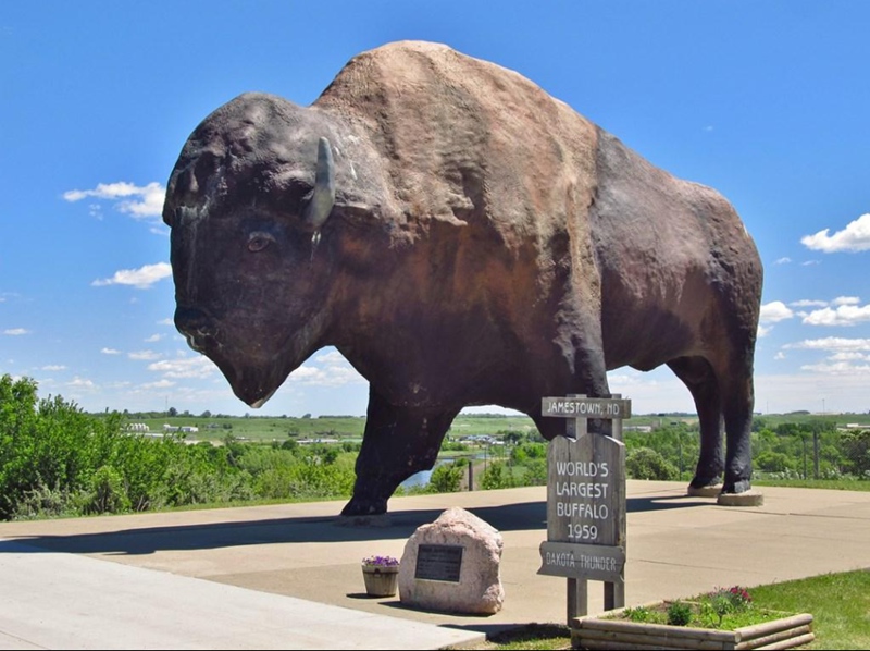 world's largest buffalo statue