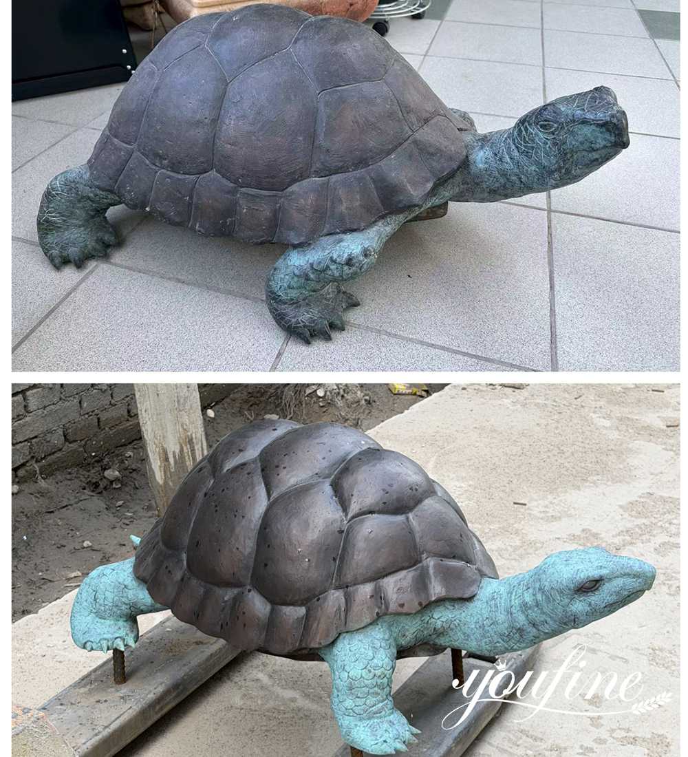 real turtle vs garden statue turtle comparison