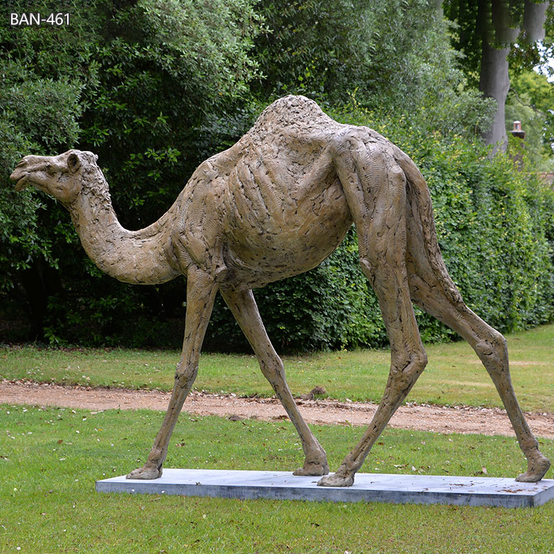 Bronze Camel Garden Statue