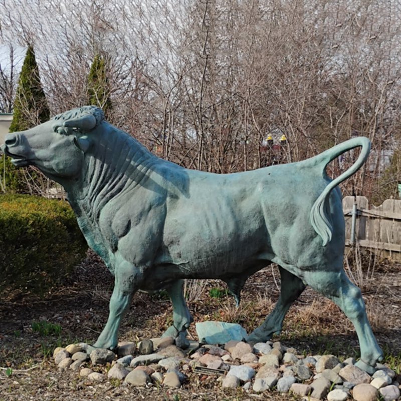 Brookfield Zoo Bull Statue